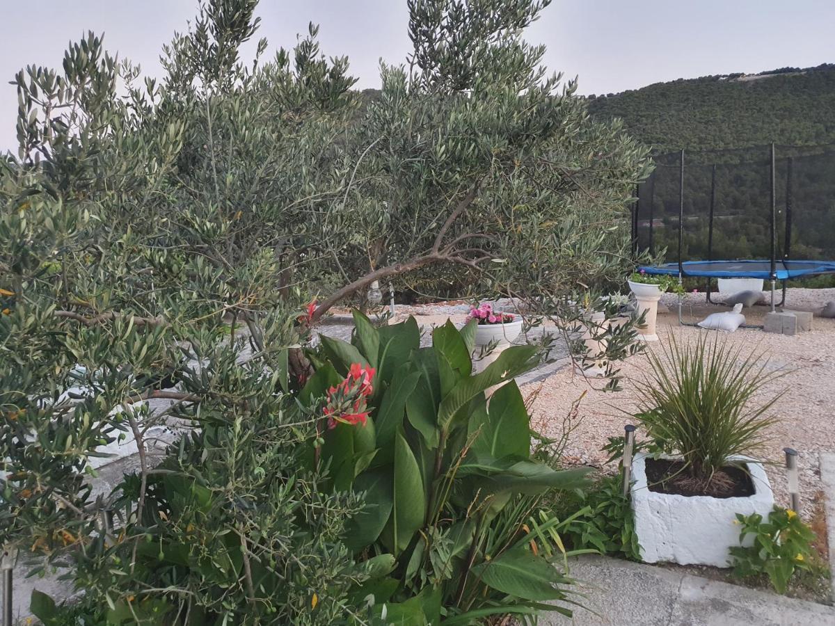 Apartman Mare Šibenik Exterior foto